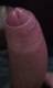 Pene