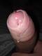 Pene