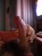 Foto privata di boydotato80